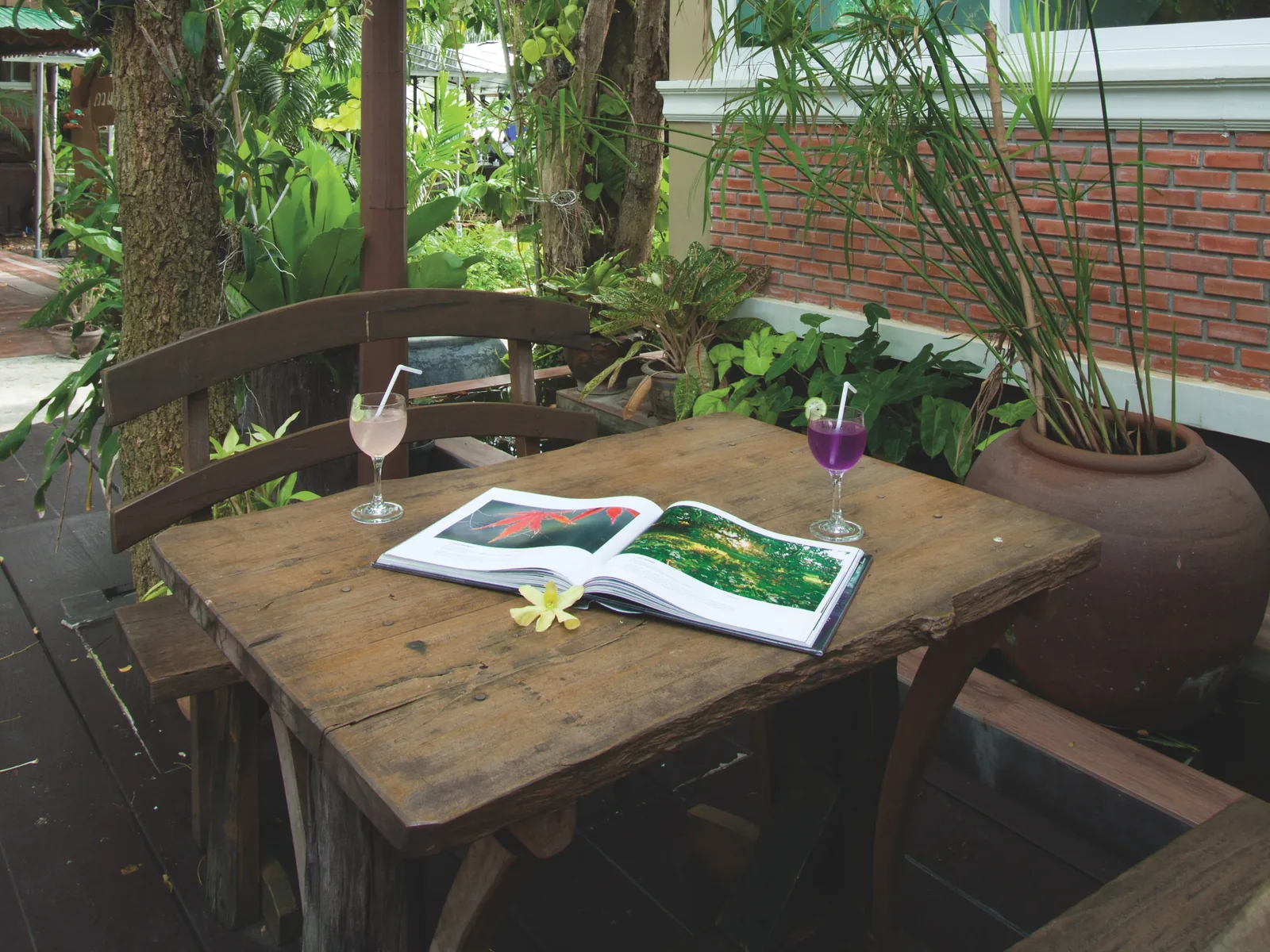 An open book on a wooden table with seating in Baantip’s shaded garden beside the buildings