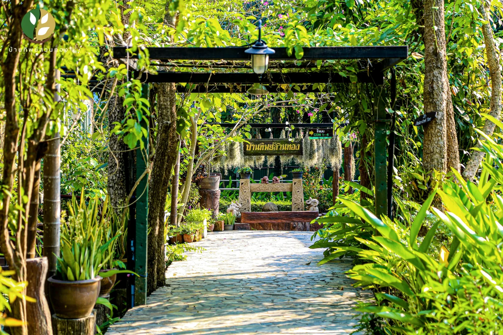 Garden walkway beneath a leafy trellis at Baantip