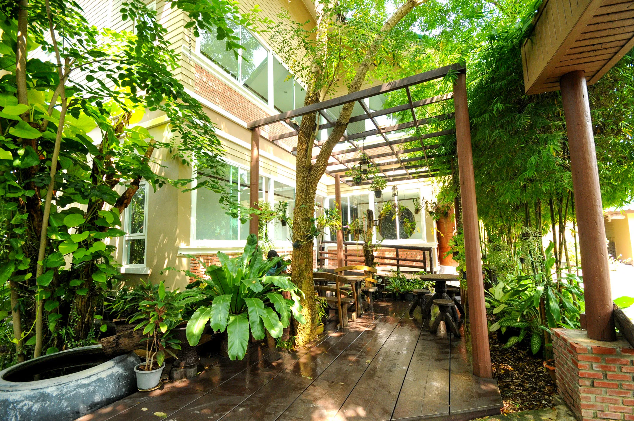 Plant-lined courtyard and wooden seating at Baantip